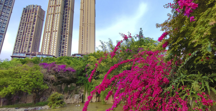 洋房住宅高层住宅小区绿化