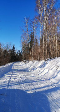 雪后