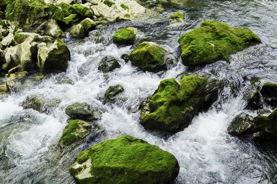 溪流河流里的石头青苔