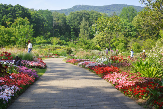 花园小路