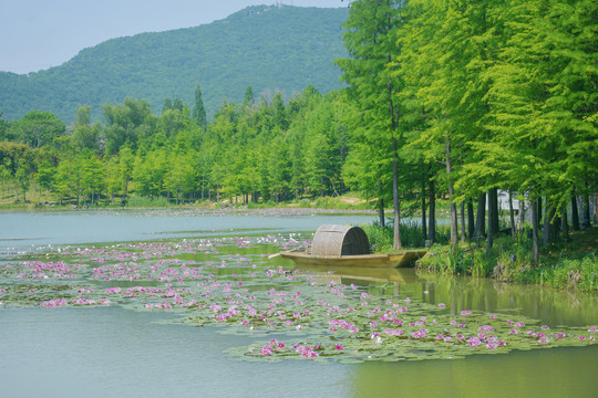 唯美湖景