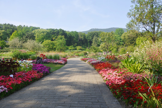 花园景观路