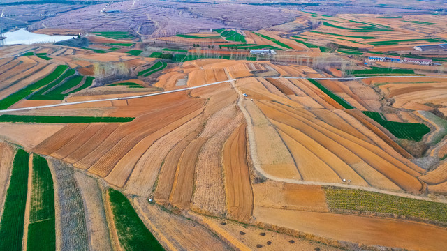 山东丘陵梯田