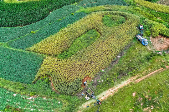 沂蒙梯田