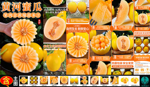 黃河蜜瓜詳情頁主圖