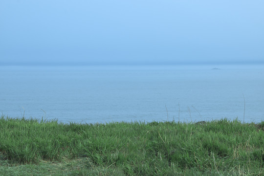 海岸的草地