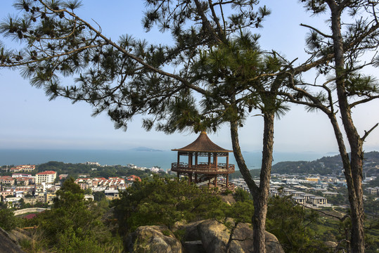 厦门金山寨山风光