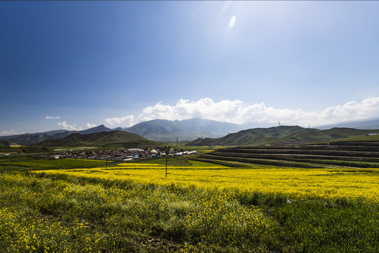 山间地头