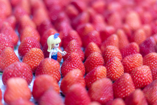 隋珠草莓