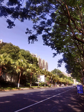 成都街头道路风景