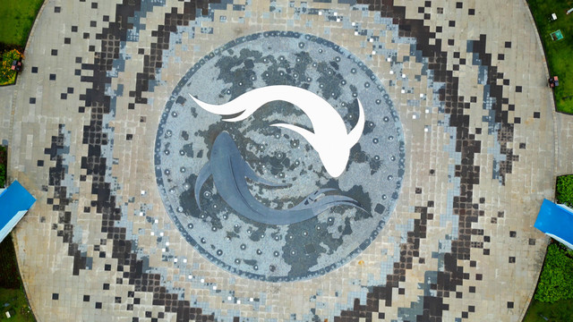 广场太极公园鲢鱼地砖拼图浮雕