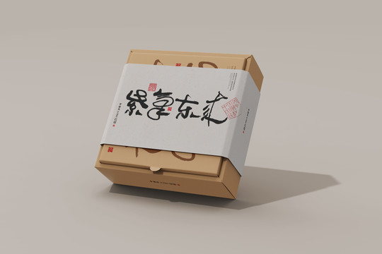 中国风牛皮纸盒样机