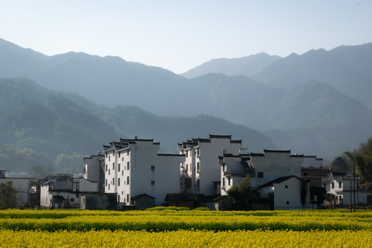 婺源篁岭景区风景