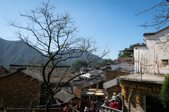 婺源篁岭景区风景