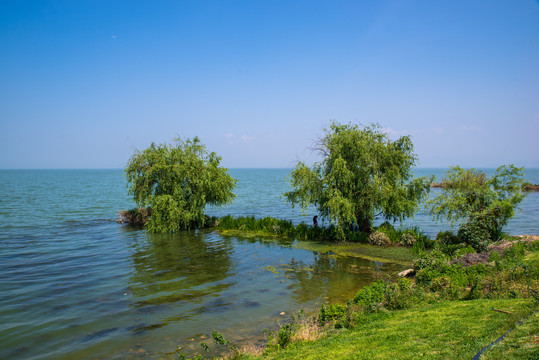 昆明晋宁国家湿地