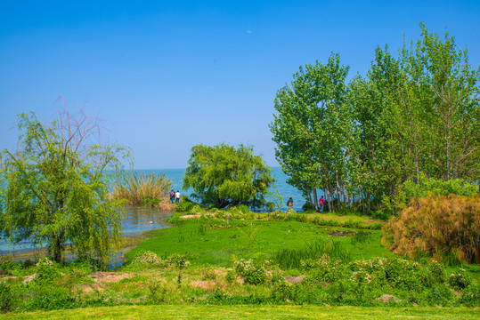 昆明晋宁国家湿地