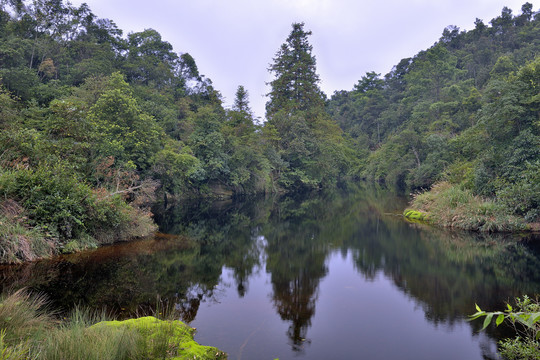 山潭山涧