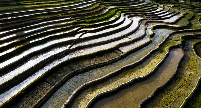 南川盐井梯田