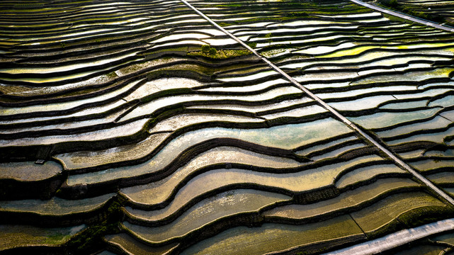 南川盐井梯田