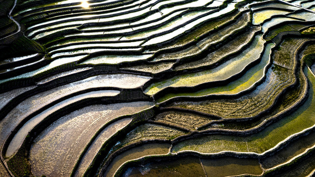 南川盐井梯田