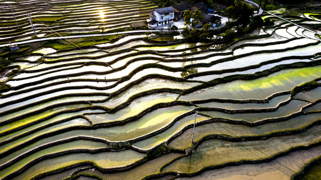 南川盐井梯田