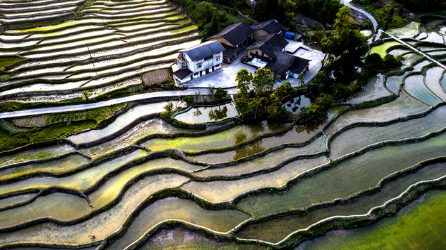 南川盐井梯田