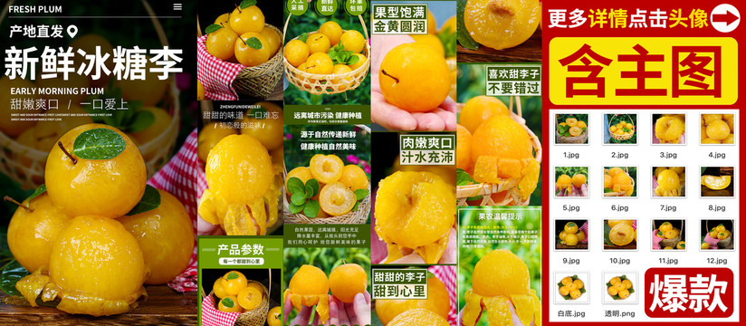 冰糖李詳情