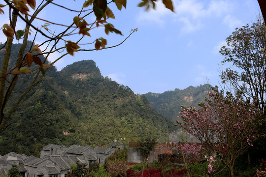 随手山