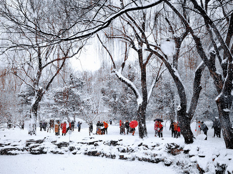 大雪中的公园