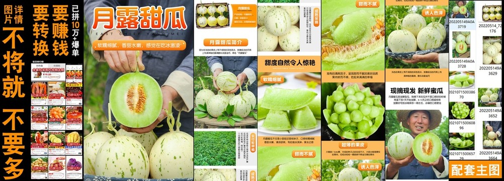 月露甜瓜詳情