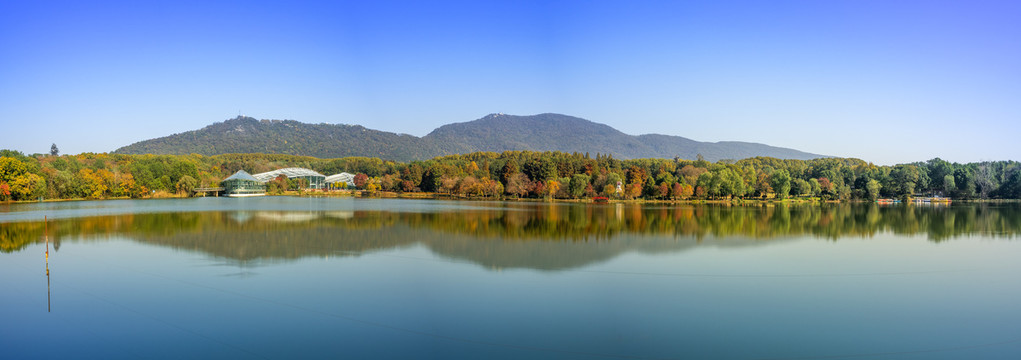 南京钟山风景区前湖风光