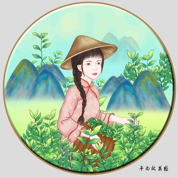 采茶