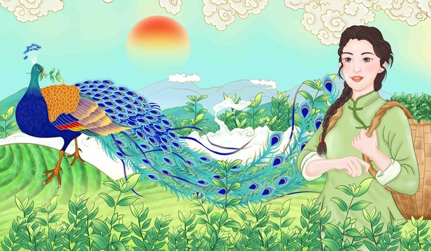 茶葉包裝插畫