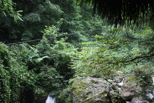 山中风景