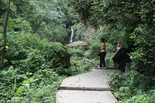 山中石道