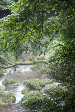 山野溪流