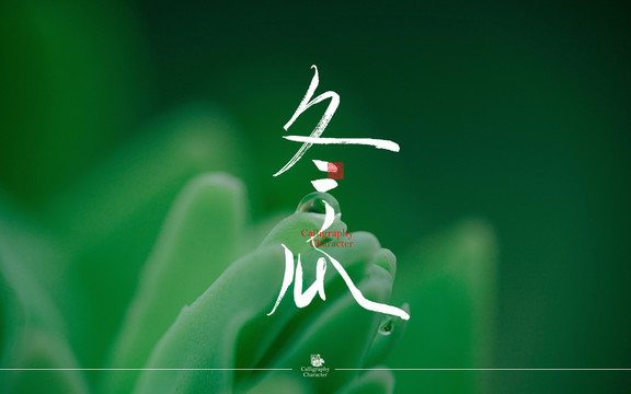 冬瓜字體設(shè)計(jì)