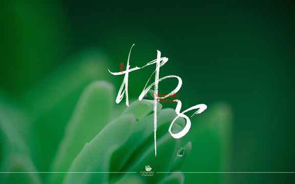 柿子書法字