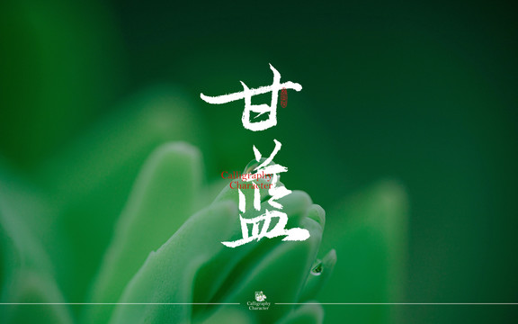 甘藍(lán)書(shū)法字體