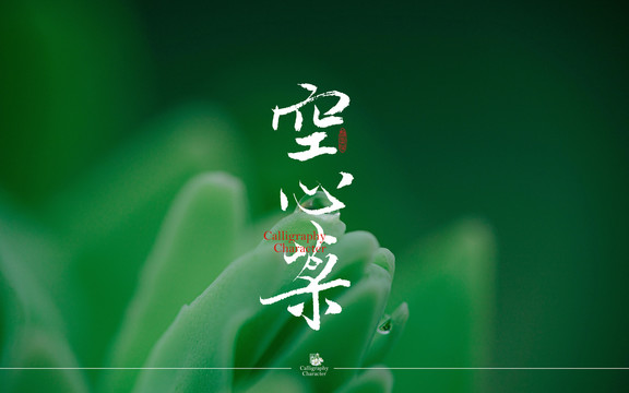 空心菜書(shū)法字