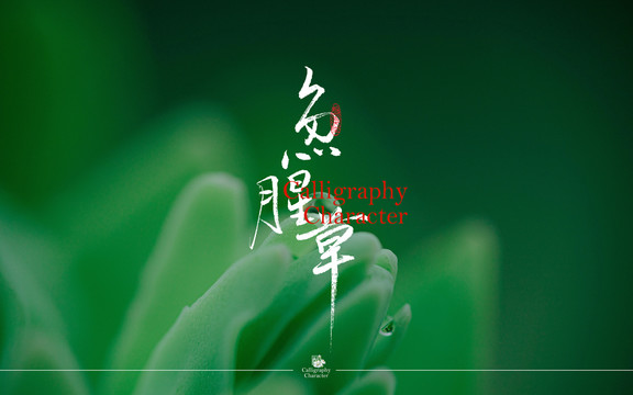 魚腥草書法字