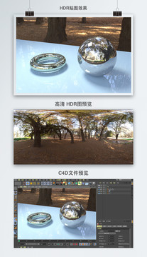 HDR全景貼圖彎曲的枯樹(shù)