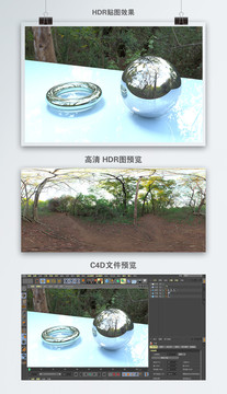 HDR全景貼圖原始森林