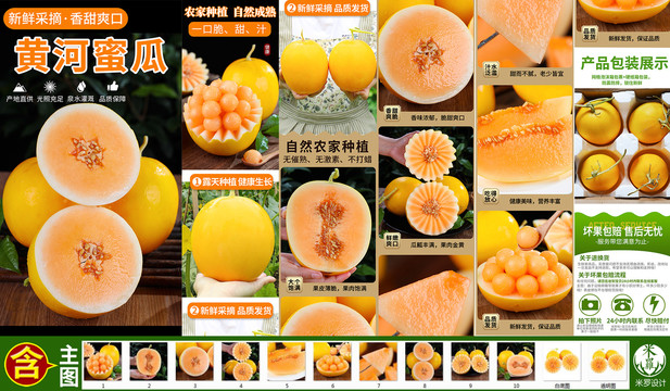 黃河蜜瓜詳情頁
