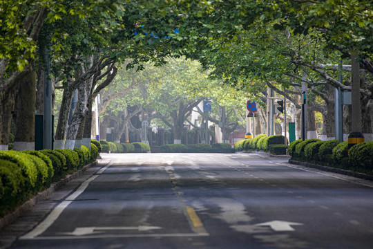 城市街道