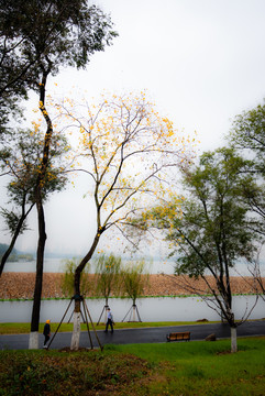 阴雨天的南京玄武湖