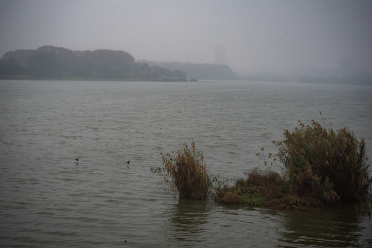 阴雨天的南京玄武湖