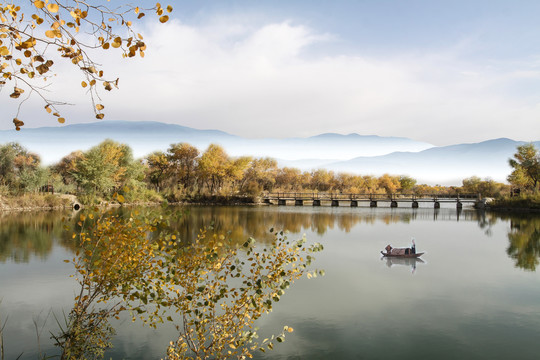 秋水小景