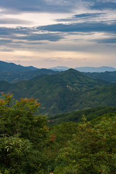 云海下的大山