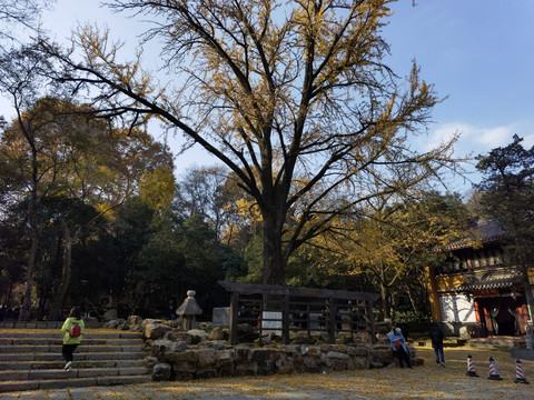 灵谷寺